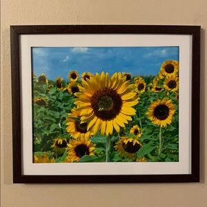 8” x 10” Sunflower Field Print